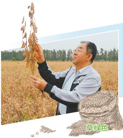 那片金灿灿的大豆田 三加田什么字