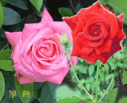 汉字中的双胞胎，我不信你看完不晕 丐是什么部首