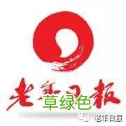 汉字中的双胞胎，我不信你看完不晕 丐是什么部首