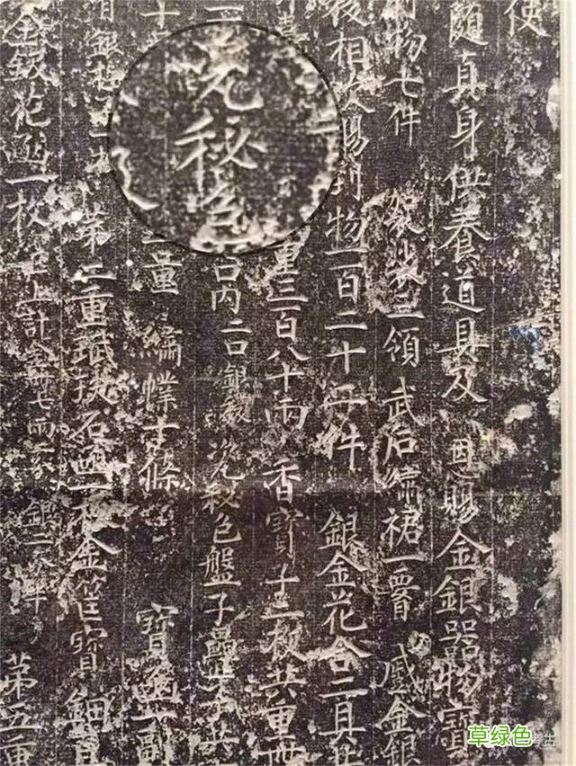 万物生长，听色彩学者讲“五彩斑斓”的绿 9字名字