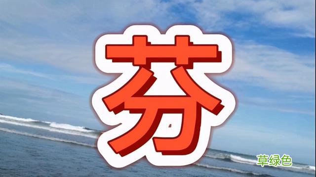 名字带芬有什么说法，带有芬字的女孩名字 繁体佟怎么写