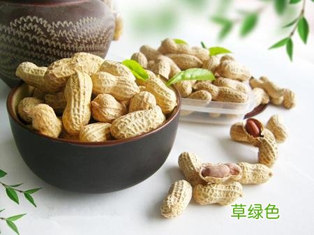 花生的功效与作用 花生的功效与作用