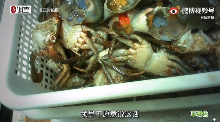海蟹死了三天了还能吃吗 海蟹死了能吃吗