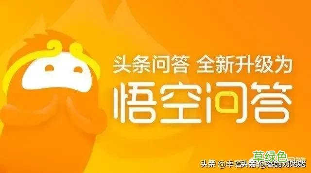 如何涨粉？ 个性怎么加v