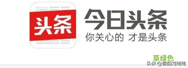 如何涨粉？ 个性怎么加v