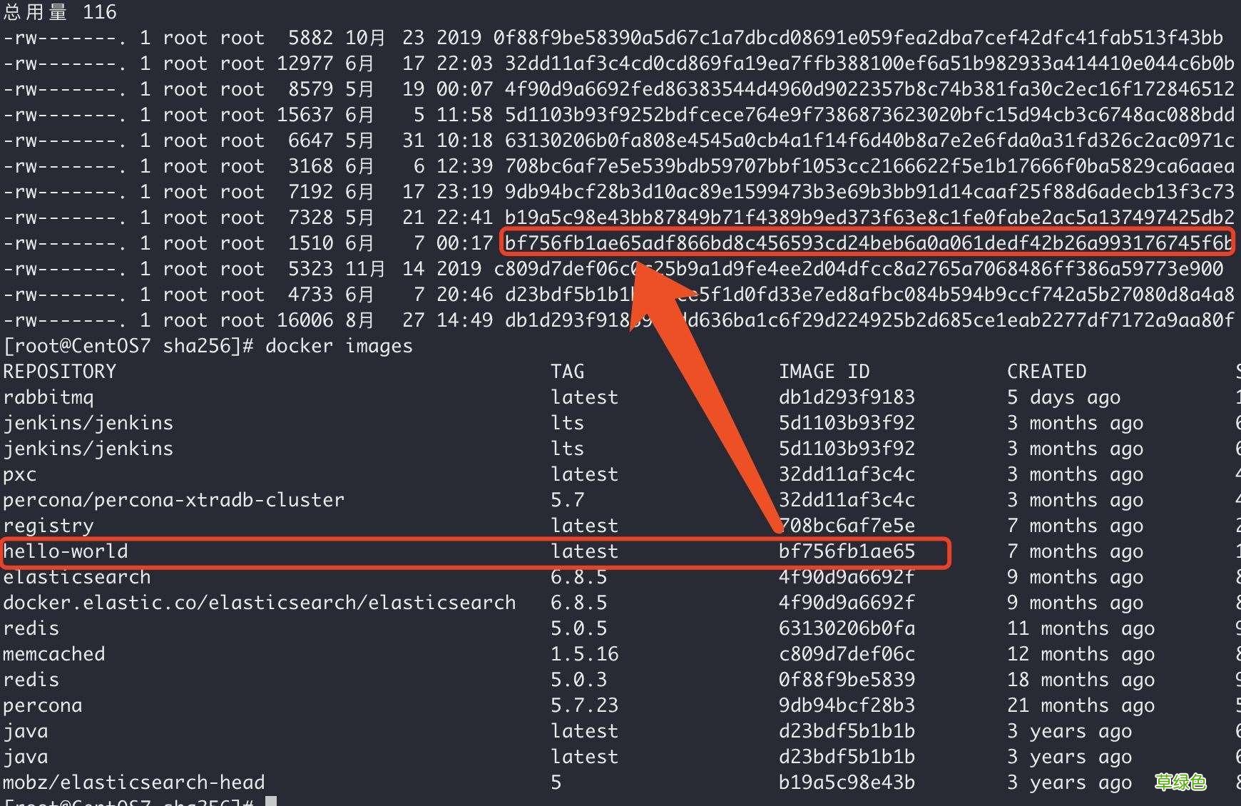 docker镜像无法删除 Error：No such image：xxxxxx解决