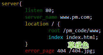Nginx常用技巧使用实例汇总