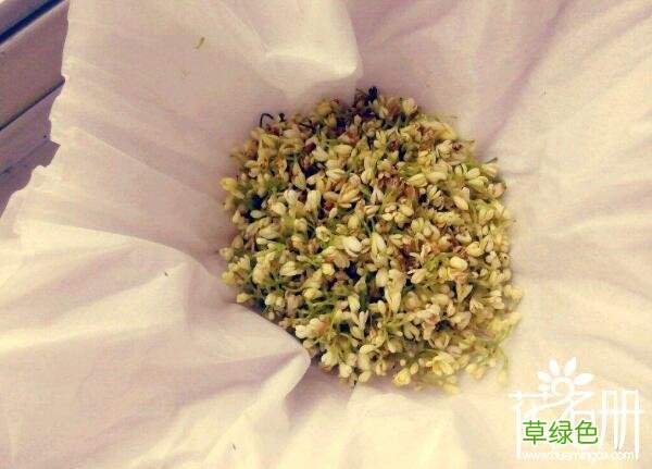 桂花怎么保存时间长 桂花怎么保存