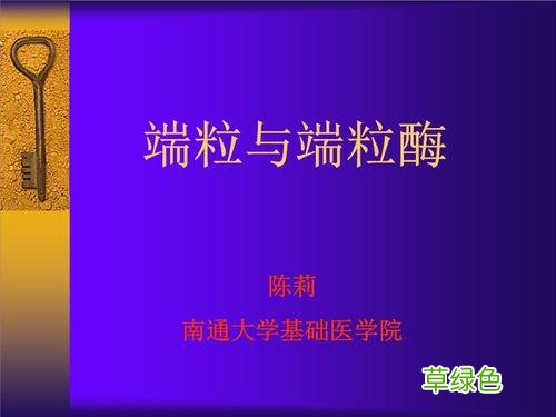 端粒酶的作用相当于HIV中 端粒酶的作用