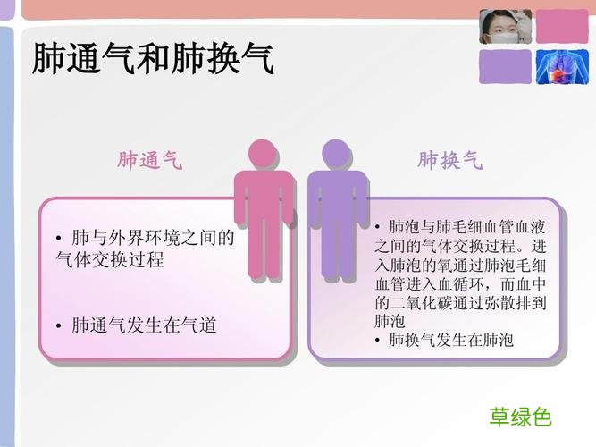 呼吸衰竭的护理问题及措施 呼吸衰竭的护理