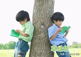 小学五年级语文易错字大全，考试中经常会出错，建议收藏！ 缜念什么字