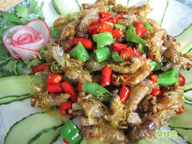夏天，农村为什么有很多抓知了猴的？ 网猴是什么