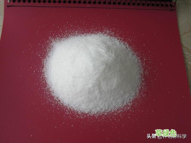 “太岁”究竟是什么东西？捡到的太岁为何还能继续生长？ 什么是太岁