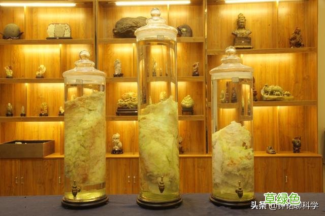 “太岁”究竟是什么东西？捡到的太岁为何还能继续生长？ 什么是太岁