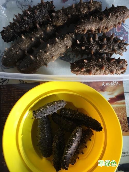 怎么泡发干海参最佳方法 干海参如何泡发