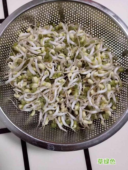 黄豆芽怎么发豆芽的步骤视频 黄豆芽怎么发