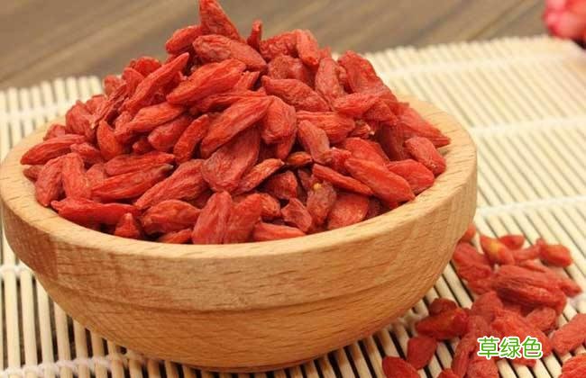 枸杞怎么吃最好 枸杞子的食用方法