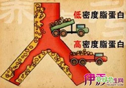 胆固醇高对身体有什么害处 胆固醇高的危害