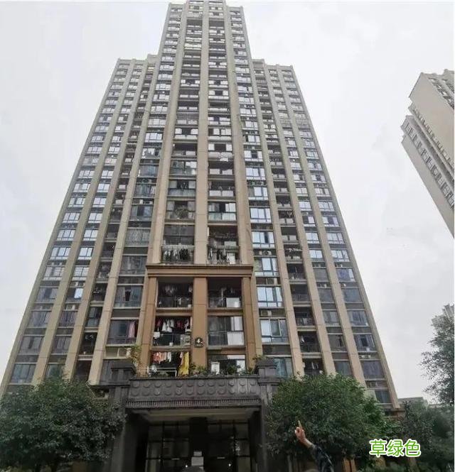 “姐弟坠楼案”庭审细节曝光！生母称“她曾想花30万买命” 付岁什么意思