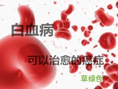 红血病是一种什么病 败血症是白血病吗
