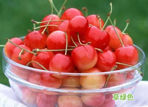 怀孕可以吃什么水果 怀孕吃什么水果好