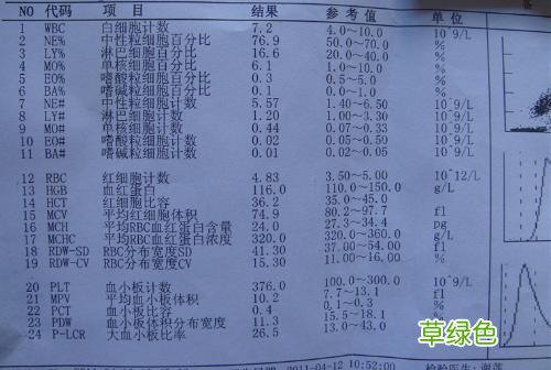 白细胞正常值是多少 白细胞正常值