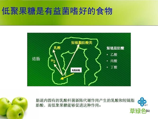 fos低聚果糖的作用及功效 低聚果糖的作用