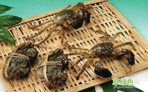 河蟹怎么保存 河蟹怎么保存