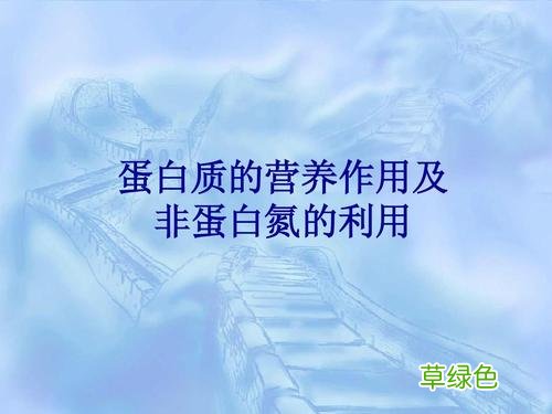 蛋白质的营养作用 蛋白质的作用