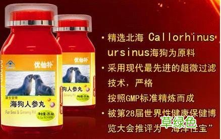 北极海狗人参丸 海狗人参丸怎么样