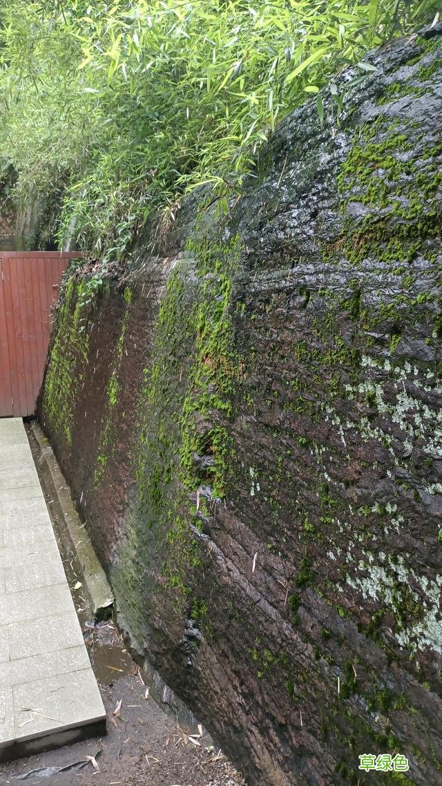 北山街民国建筑介绍专辑-北山街84号的32号楼和88号楼 廿四 什么是窗八字