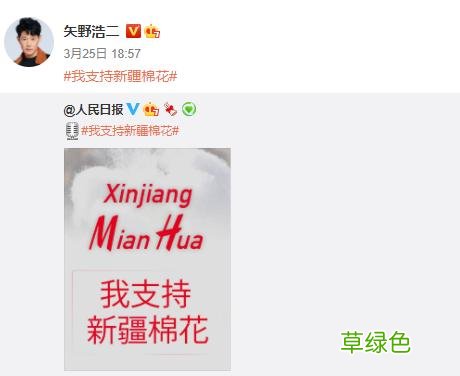 女儿中国籍，在日本演中国人，“职业鬼子”矢野浩二如今怎么样了 什么浩名字
