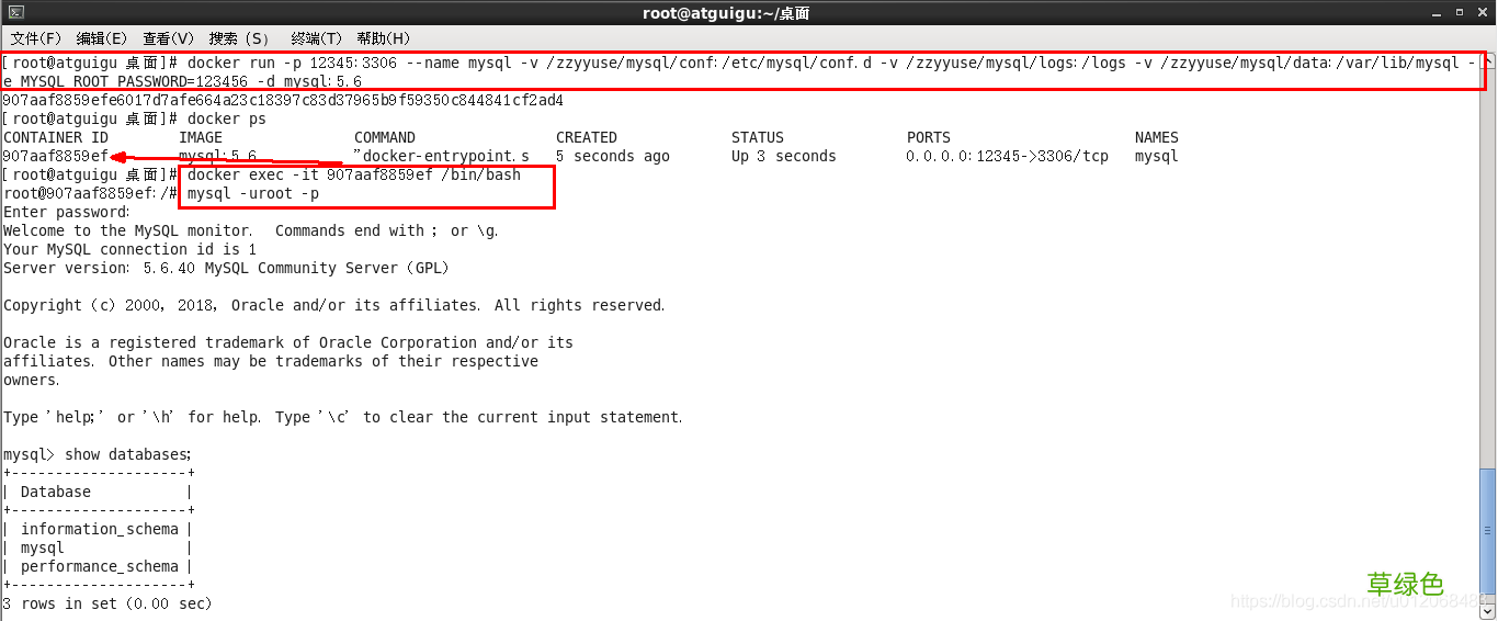 Docker安装Tomcat、MySQL和Redis的步骤详解