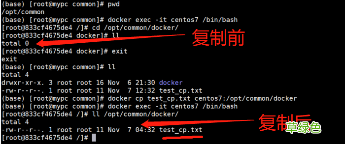 docker容器与宿主机的数据交互方式总结