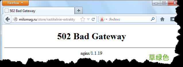 Nginx 502 Bad Gateway错误原因及解决方案