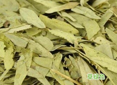 番泻叶可以经常泡水喝吗 番泻叶的作用