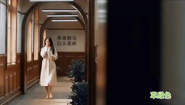 这剧真敢拍啊！改编自“连环杀人案”，国产悬疑要谷底反弹了？ 偷字繁体怎么写