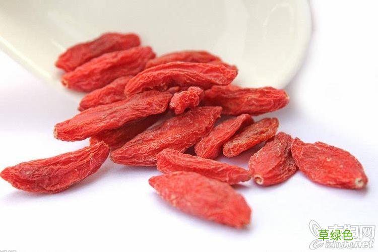 枸杞子的功效与作用泡水喝的功效 枸杞子有什么功效