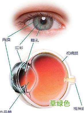 红眼病的危害性 红眼病的危害
