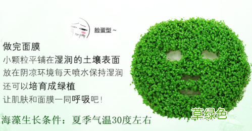 海藻面膜的调制方法 海藻面膜的作用