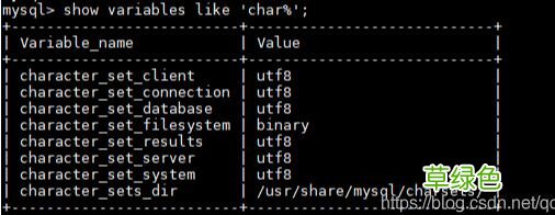 解决Docker之mysql容器数据库更改不生效的问题