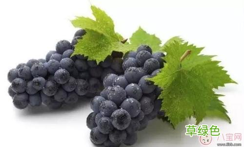 怀孕能吃葡萄吗早期 怀孕能吃葡萄吗
