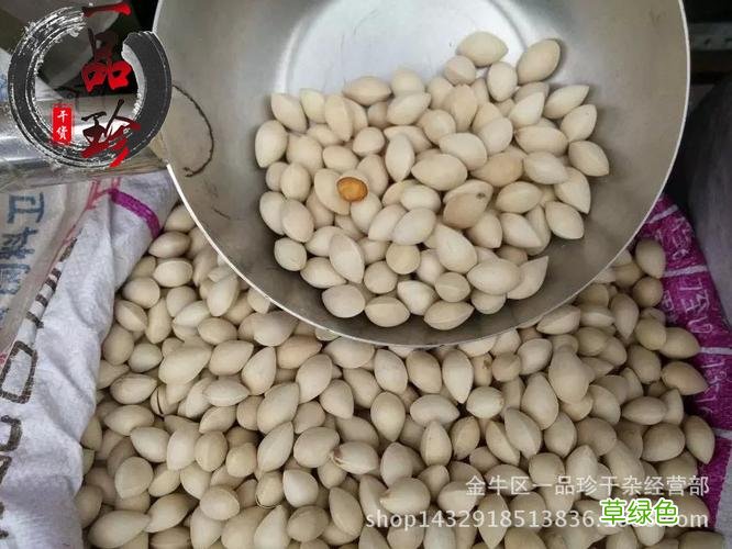 白果的功效与作用禁忌和最大用量 白果的功效与作用