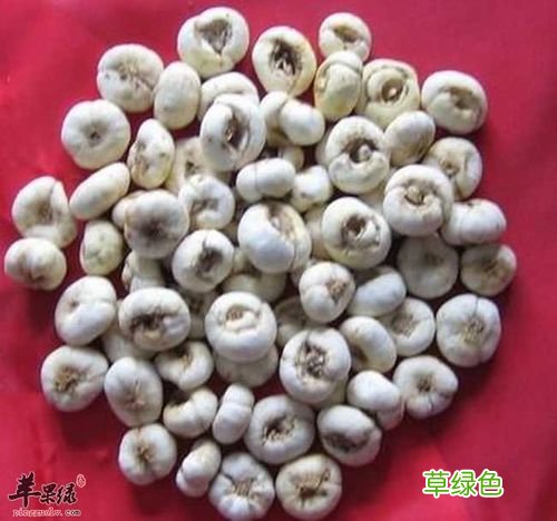 贝母的功效与作用孕妇可以吃吗 贝母的功效与作用