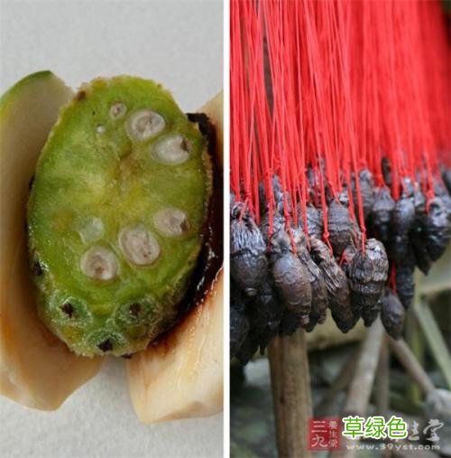 槟榔花的作用是什么 槟榔花的作用