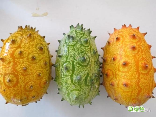 火参果怎么吃 火参果怎么吃