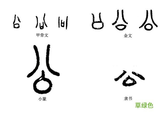 《说文解字》第121课：《诗经》有“公言锡爵”，“公”是何意？ 兆字怎么解