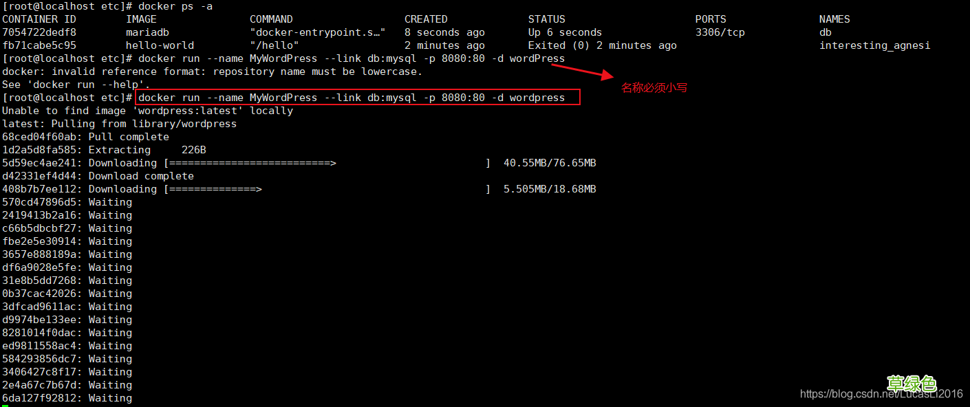 超简单实现Docker搭建个人博文系统