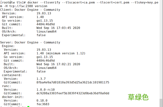 关于docker安全之Docker-TLS加密通讯问题