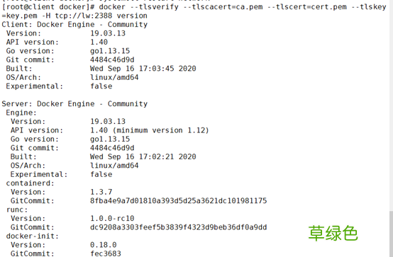 关于docker安全之Docker-TLS加密通讯问题